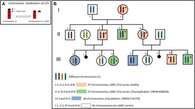 Be careful with small supernumerary marker chromosomes!